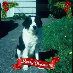 Meet your Posher, Ann